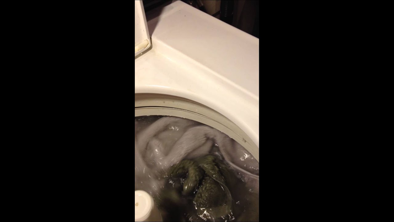 Speed Queen Marathon Washer Recirculation Filter? YouTube