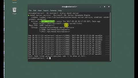 Connect to SQL Server on Linux with SSMS