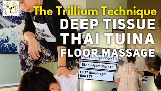 Trailer: Deep Tissue Thai Tuina Floor Massage (certificate course)