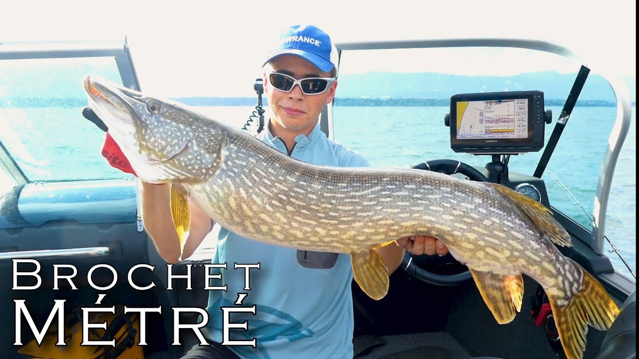 LES BROCHETS GEANTS du lac LEMAN YouTube