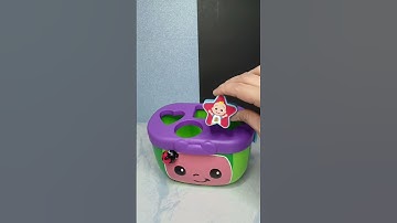 Unique Sorting CoComelon Shape Sorter Basket