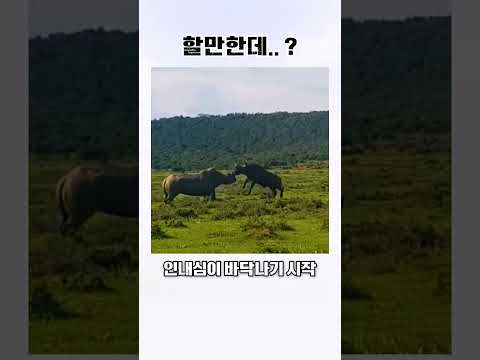 할 만하다는 착각의 결말 thumbnail
