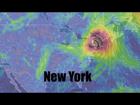 NEW - Updated track for Hurricane Irma has BIG CAT heads towards NE Coast