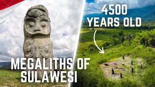 Ancient Megalithic Site of Central Sulawesi  Besoa Valley Palu