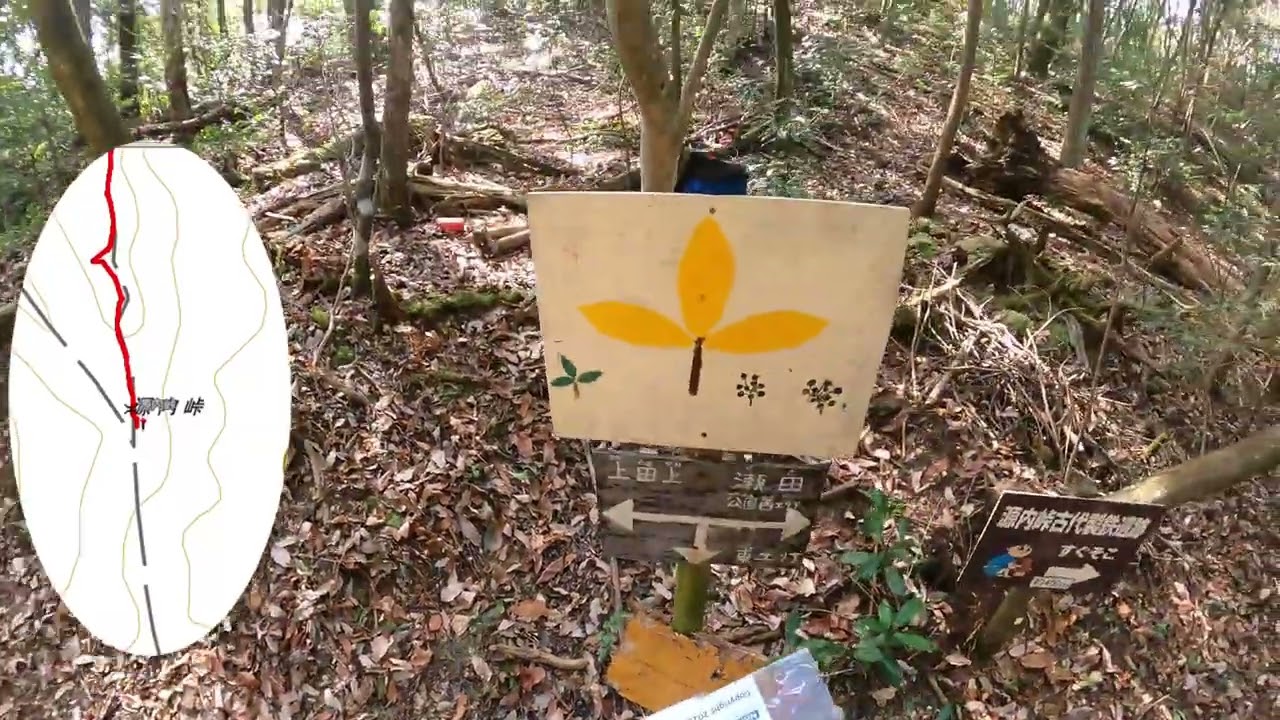 2026年2月23日　京京立第47期生新人練オリエンテーリング大会（滋賀県　源内峠）