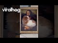 Cat Lounges on Mona Lisa Bed || ViralHog
