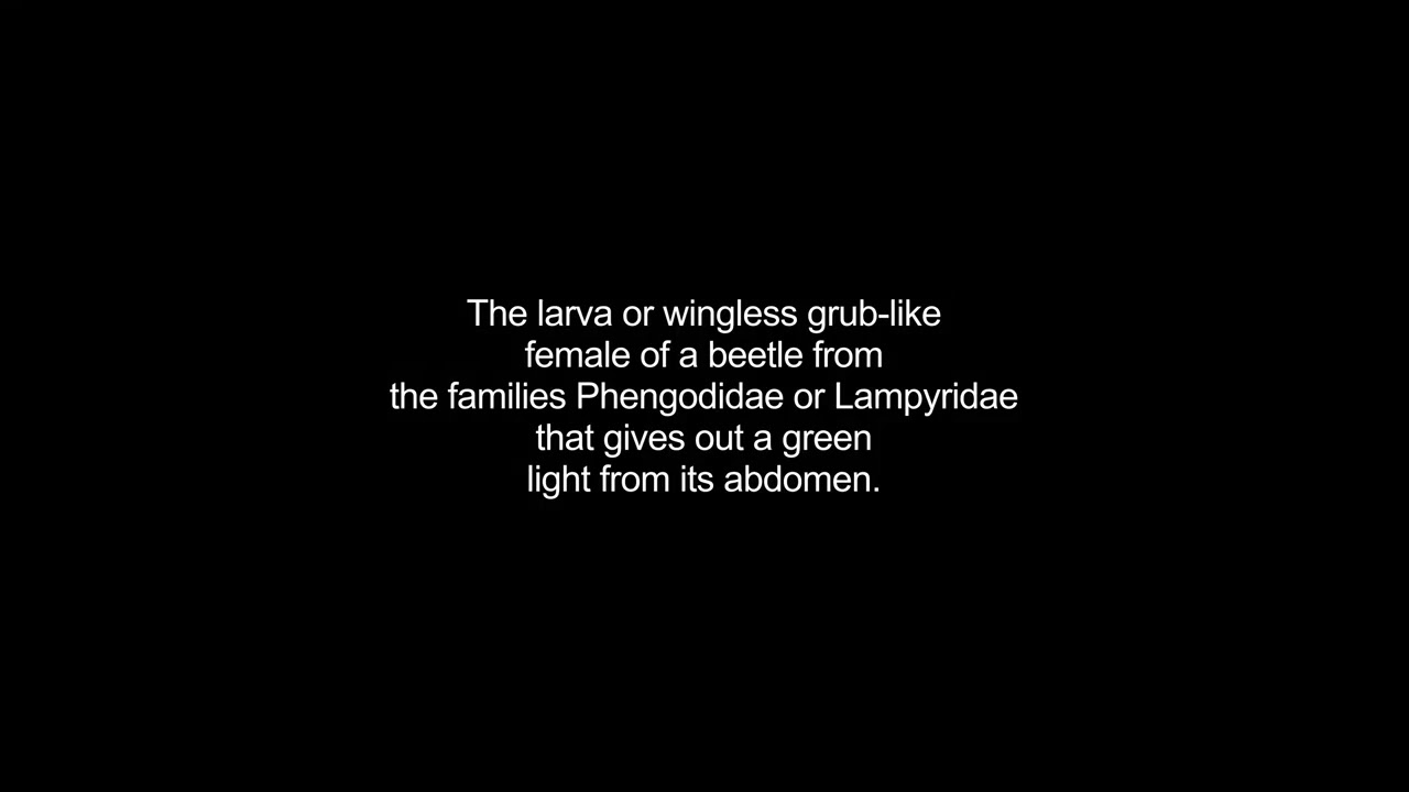 glowworms video Dictionary meaning and pronunciation