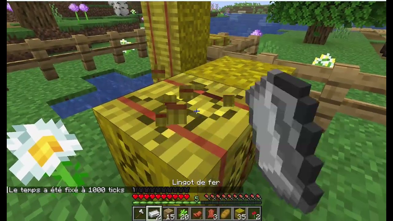 Survie Minecraft paisible (J'ai trop de chance sur Minecraft!)