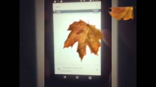 Como baixar pou hack sem Root