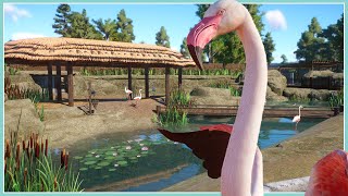 Greater Flamingo Habitat - River Rock Zoo | Planet Zoo Speed Build