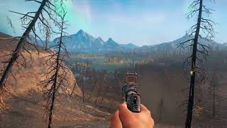 What's in the Radiation Zone Far Cry new dawn...