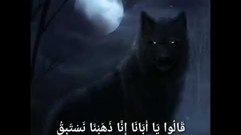 ابداع الشيخ سيد سعيد : سورة يوسف