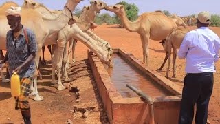 Guddoomiyaha Deegaanka Garacad, Shoox Oo Booqday Xoolo Dhaqatada Ka Soo Hayaantay Bariga Mudug