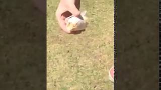 Unsuccessful Water Rocket Payload Test