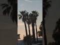ISS Sighted (UFO)