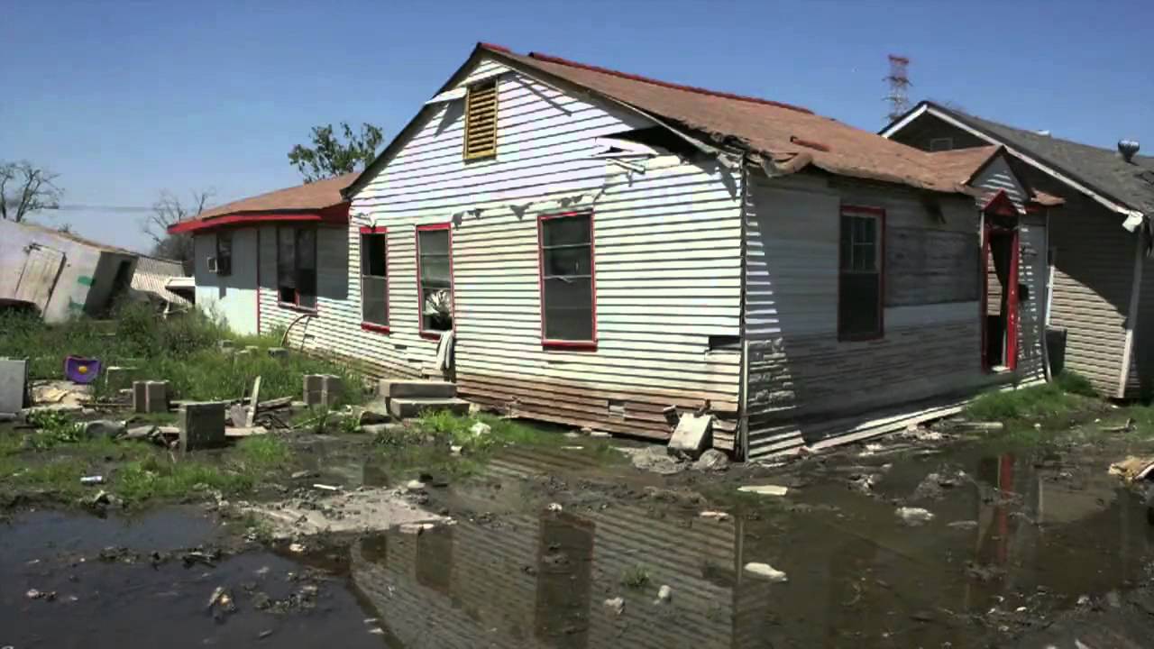 West Palm Beach, FL | All In One Restoration Services | Mold