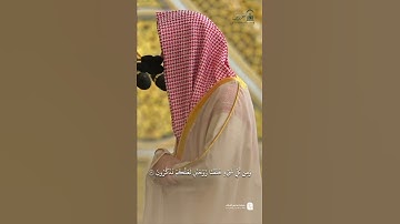 مقتطف من تلاوة فضيلة الشيخ #محمد_برهجي  من صلاة التراويح ليلة 27 رمضان 1446هـ