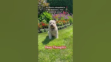 Deep Thoughts on Accuracy @TheJessiiShow #TheManniiShow.com/series