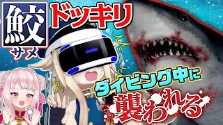 【ドッキリ】VR中にサメに襲われた女の子の反応がこちらです