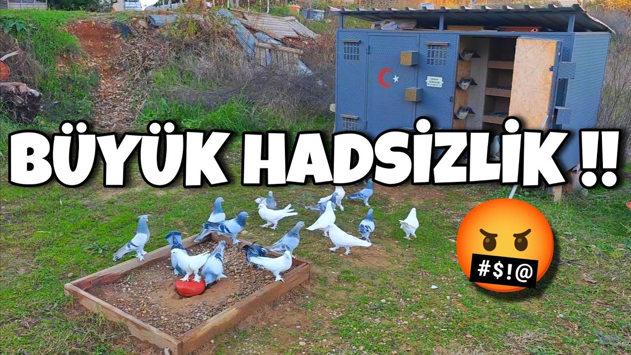 SAÇMALIĞIN BUKADARI ARTIK YA‼️