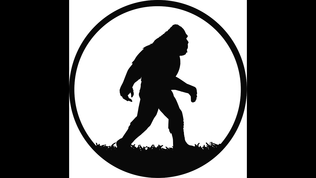 Introducing Sasquatch Brands   SD 480p