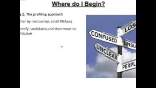 Where to start with miRNA experiments