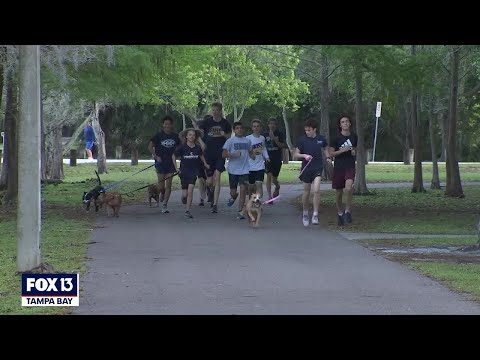 High school cross-country team takes shelter dogs out for a run