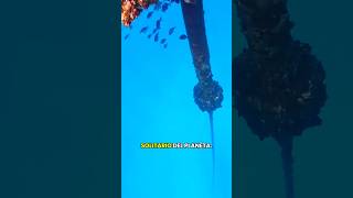 ¿Tiene talasofobia? #talasofobia