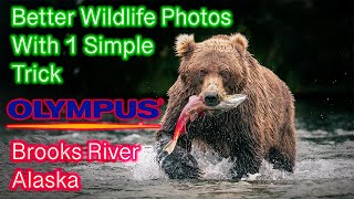 1 Trick for Better Wildlife Photos | With Olympus | Brooks Falls Alaska