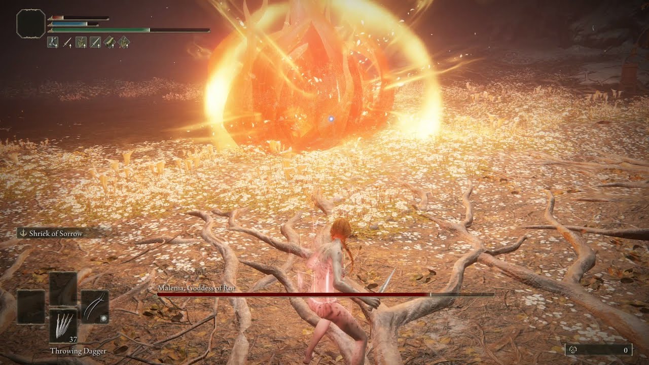 Malenia no-hit | Raptor Talons - YouTube