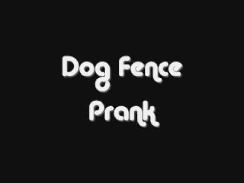 dog-fence-|-prank-call