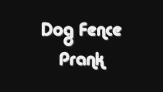 Dog Fence Prank Call Youtube