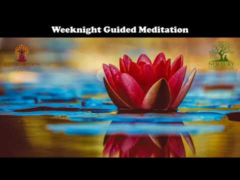 Guided Meditation (from NBM) | Bhante Aranavihari | 20 Apr 2020
