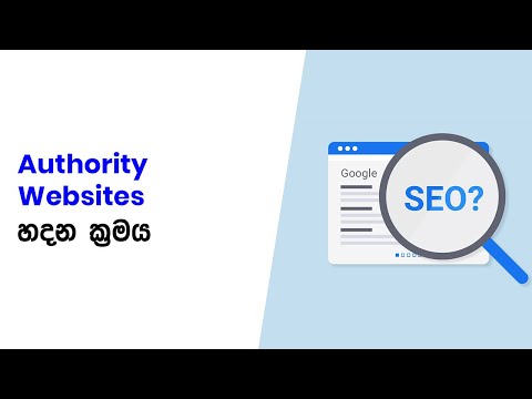Build the Authority Website