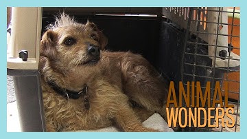 Crates - A Safe Space