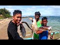 DAY SPEARFISHING | CATCHING CUTTLEFISH