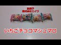 【駄菓子】いちごチョコマシュマロ