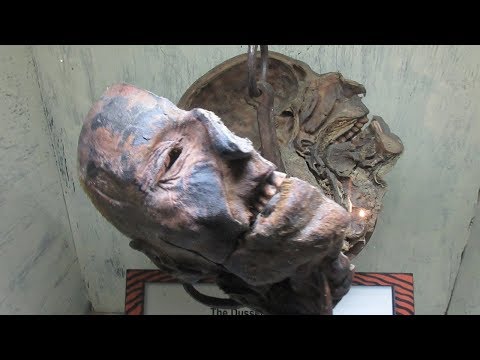 Ripley's Believe It Or Not! Wisconsin Dells & More