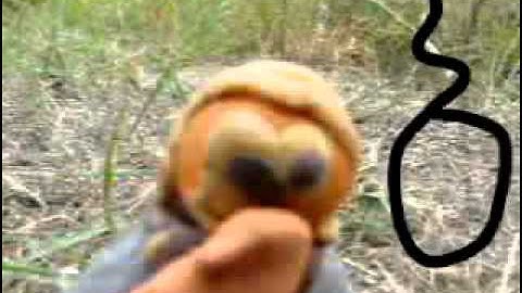 Grave Robber animated music video by Ryan Hardy FREE DOWNLOAD LINK