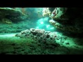 Cave Scuba Diving / mağara Dalışı Kuşadası/Turkey GoPro Hero3+ Black