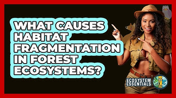 What Causes Habitat Fragmentation In Forest Ecosystems? - Ecosystem Essentials