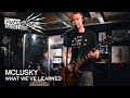 Mclusky  what weve learned fret12 sessions