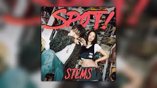 JENNIE, ZICO - SPOT! (Stems)