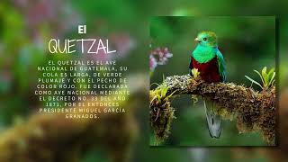 Historia de los símbolos patrios Parte I