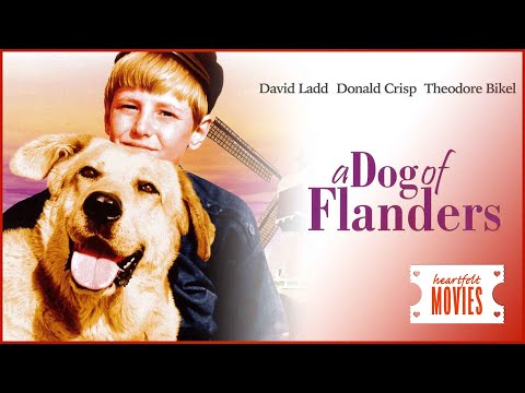 A DOG OF FLANDERS