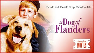 A Dog of Flanders
