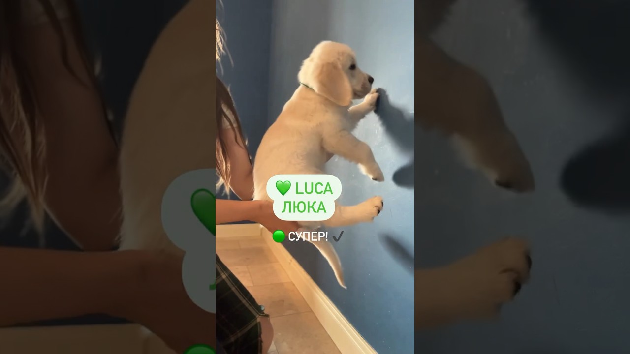 Ностальгирую и по 