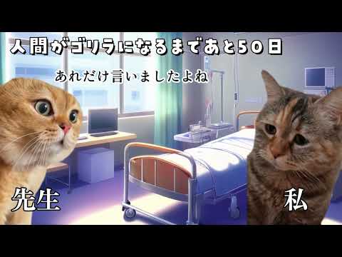 【猫ミーム】出産の時、人間からゴリラになった話。【猫マニ】