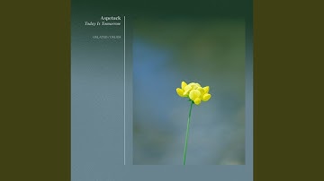 Echolocation (Original Mix)