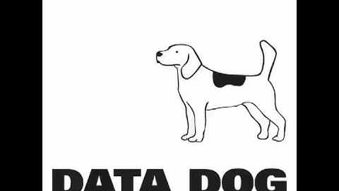 Data Dog - Colour Bomb